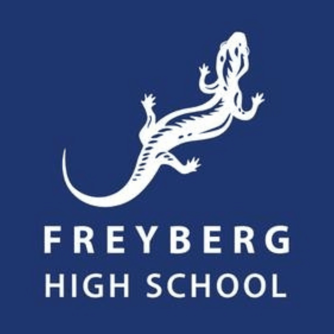 Freyberg High School