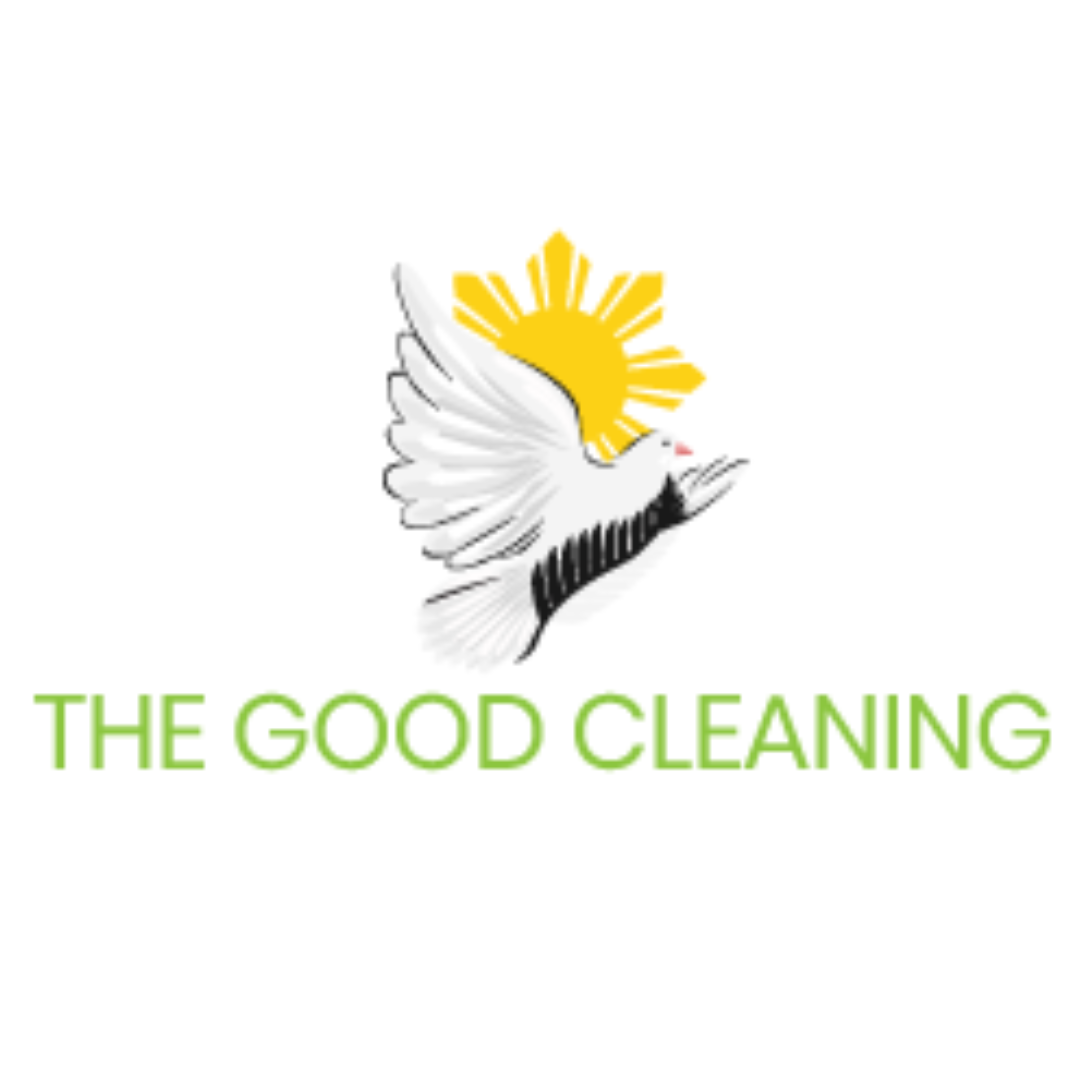 The Good Cleaning