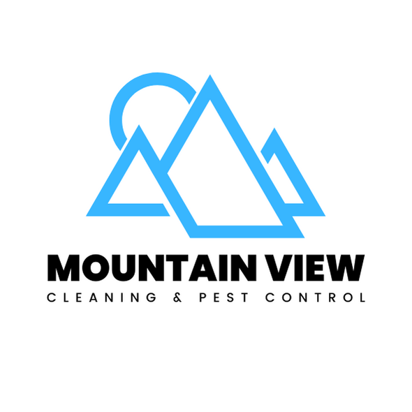 Mountain View Services